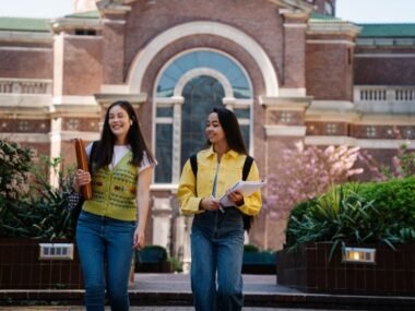 Online Colleges For Elementary Education Degree